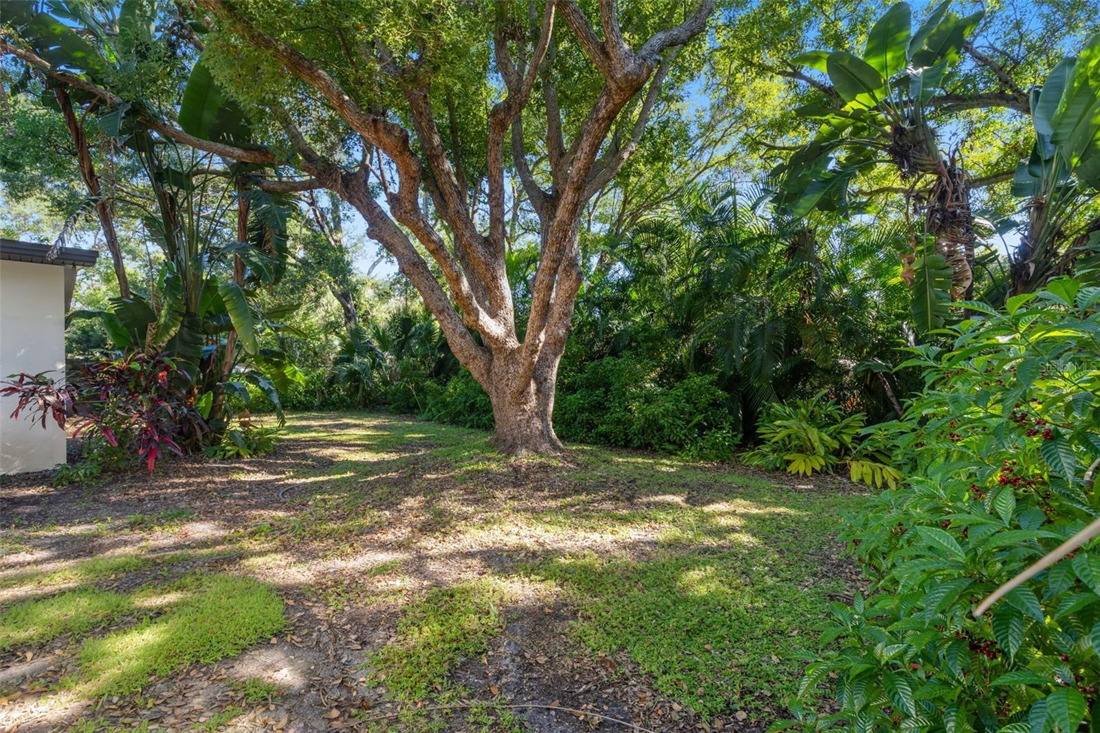 Image 24 of 29 For 145 Velma Drive W