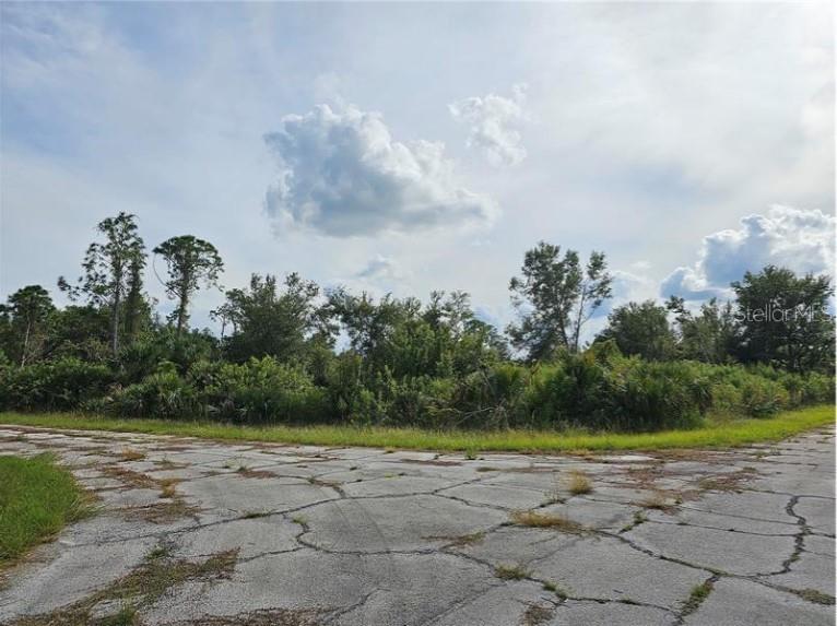 Details for Lot 1 Hinshaw Avenue, NORTH PORT, FL 34288