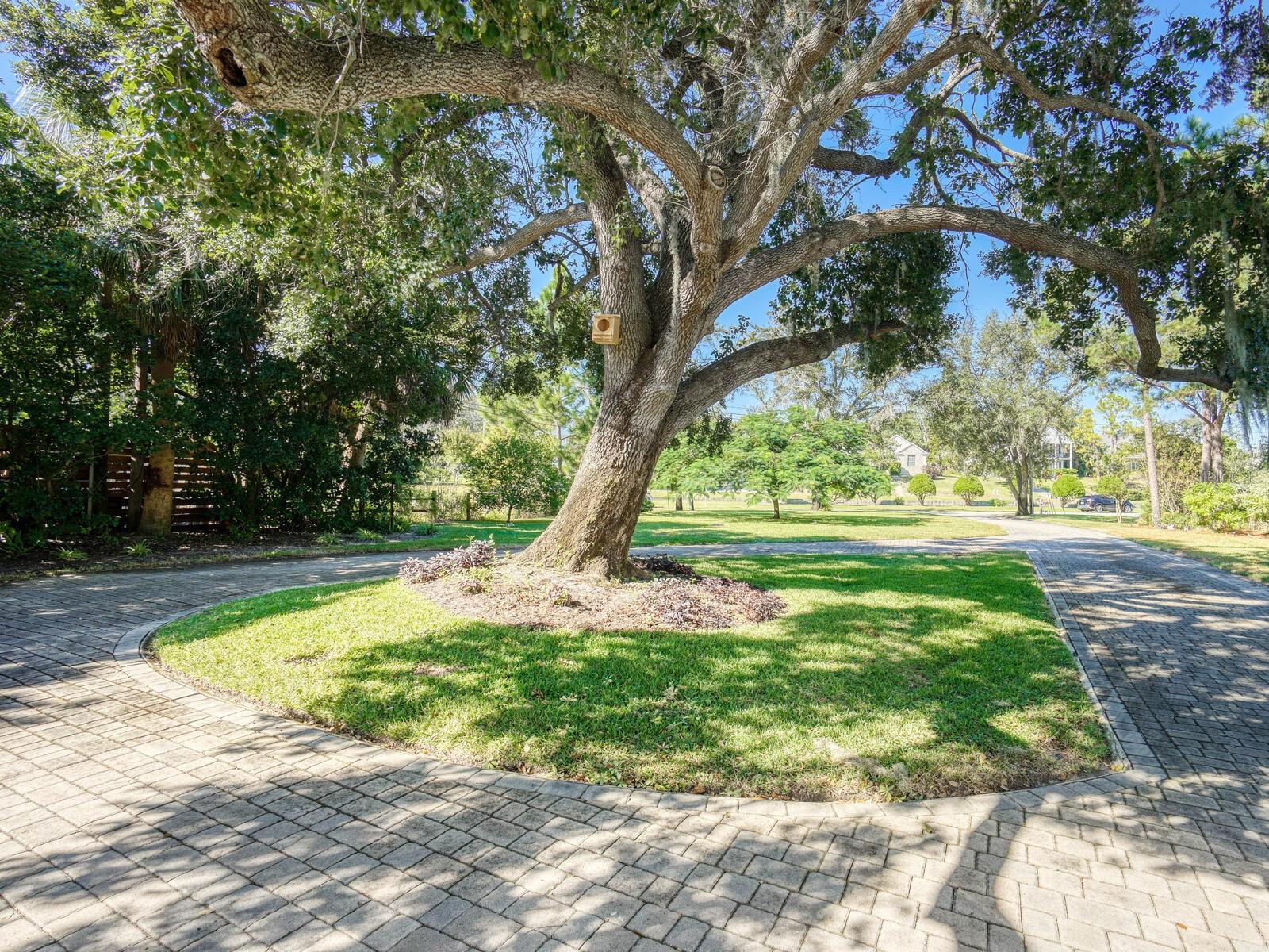 Image 21 of 56 For Address Not Provided