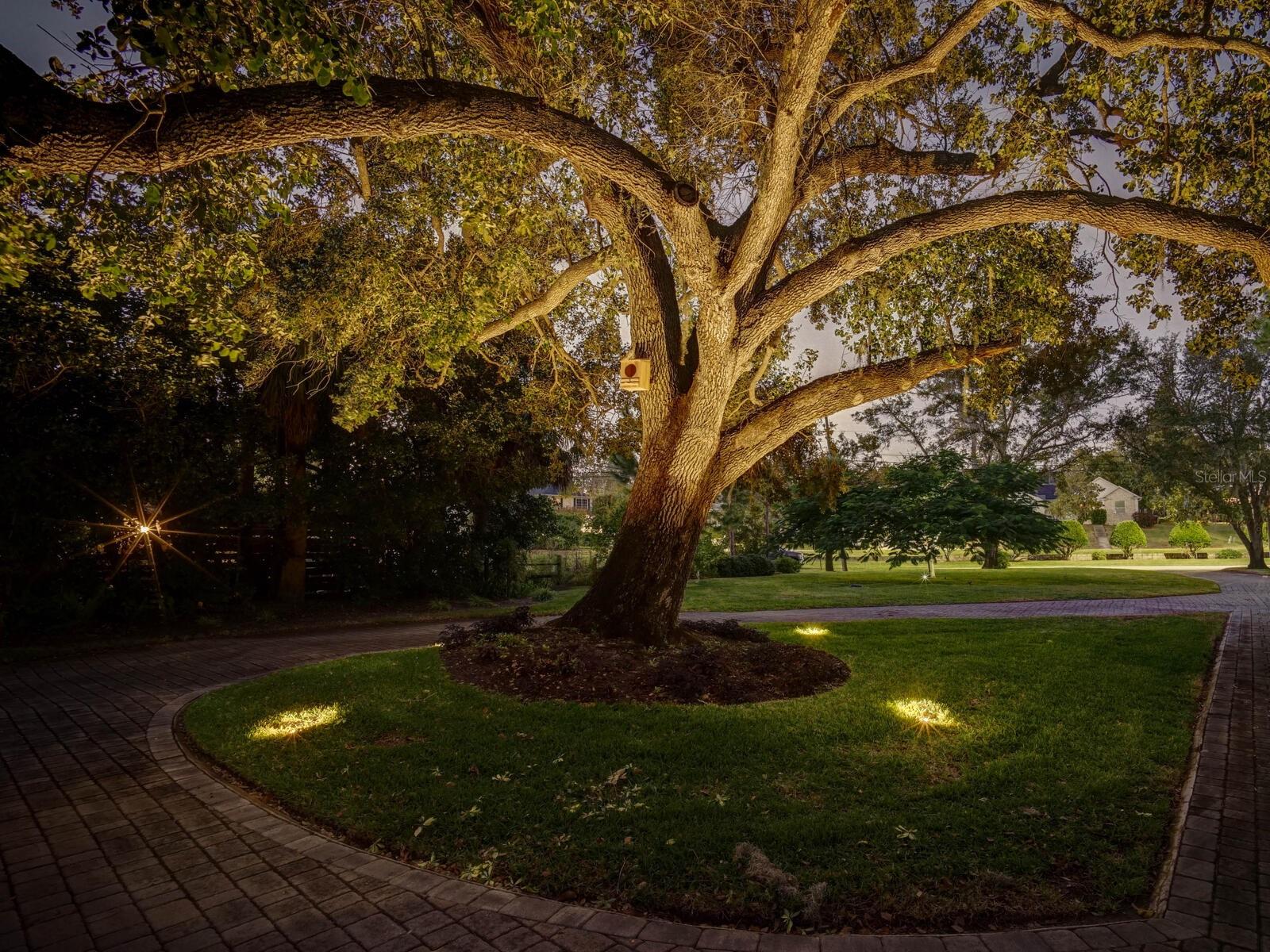 Image 26 of 56 For Address Not Provided