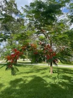 Listing photo id 58 for 1720 Richard Ervin Parkway