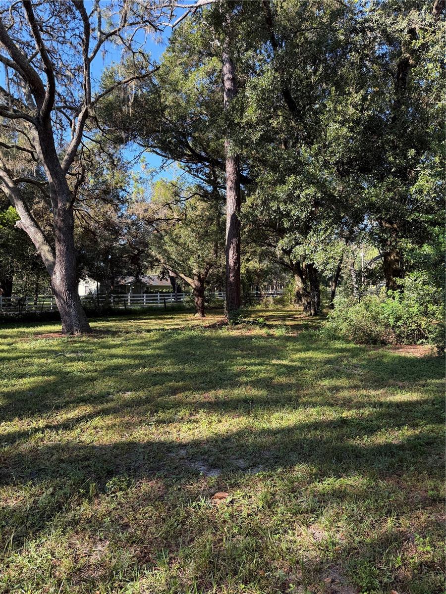 Image 14 of 19 For 18125 Mount Olive Drive