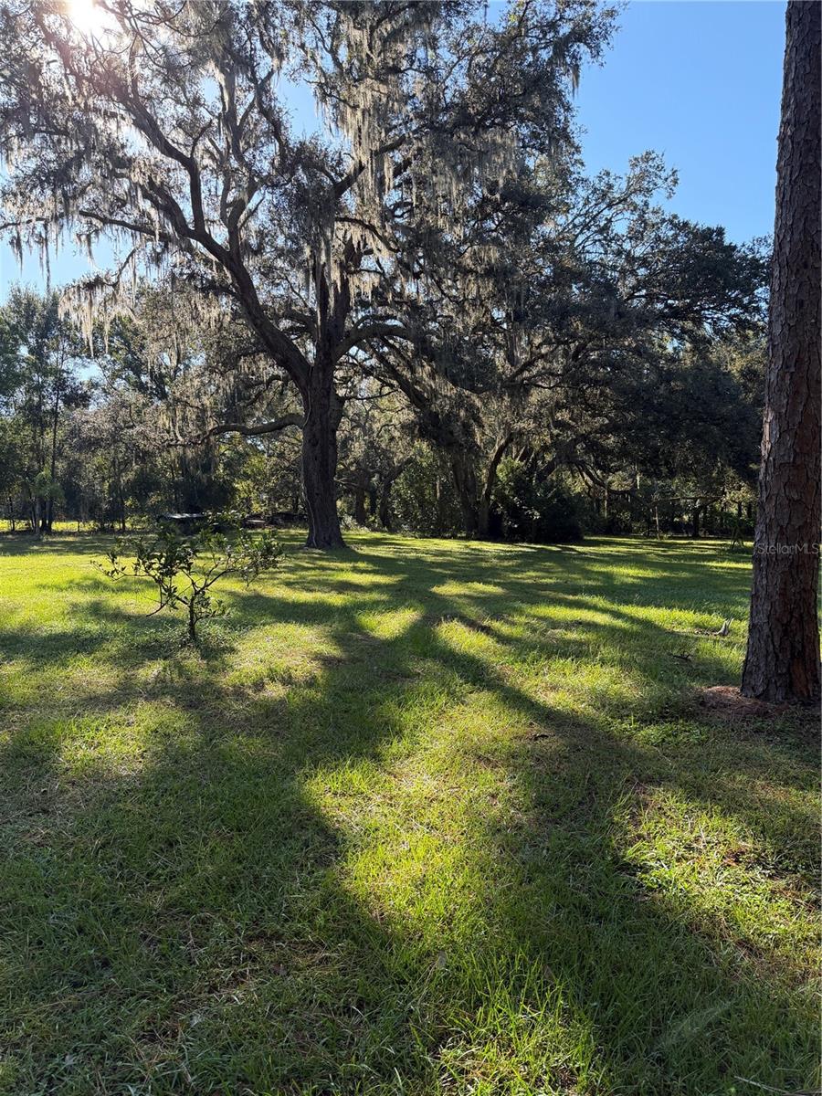 Image 15 of 19 For 18125 Mount Olive Drive