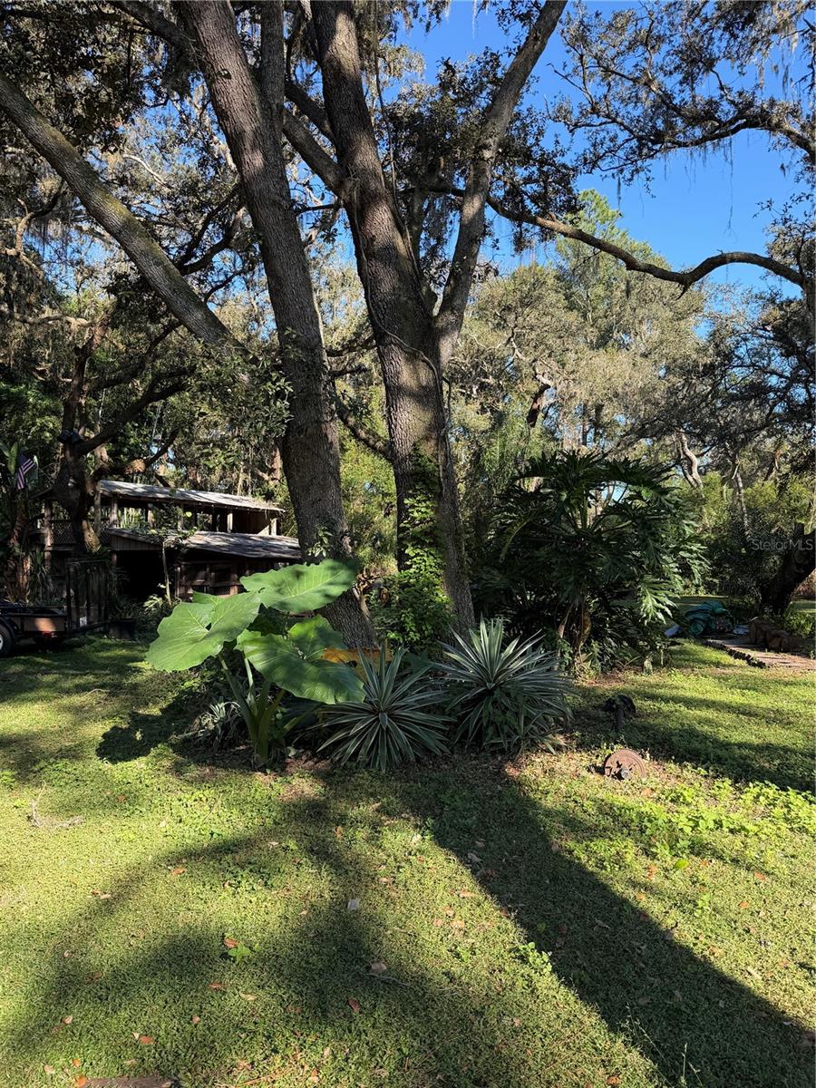 Image 16 of 19 For 18125 Mount Olive Drive