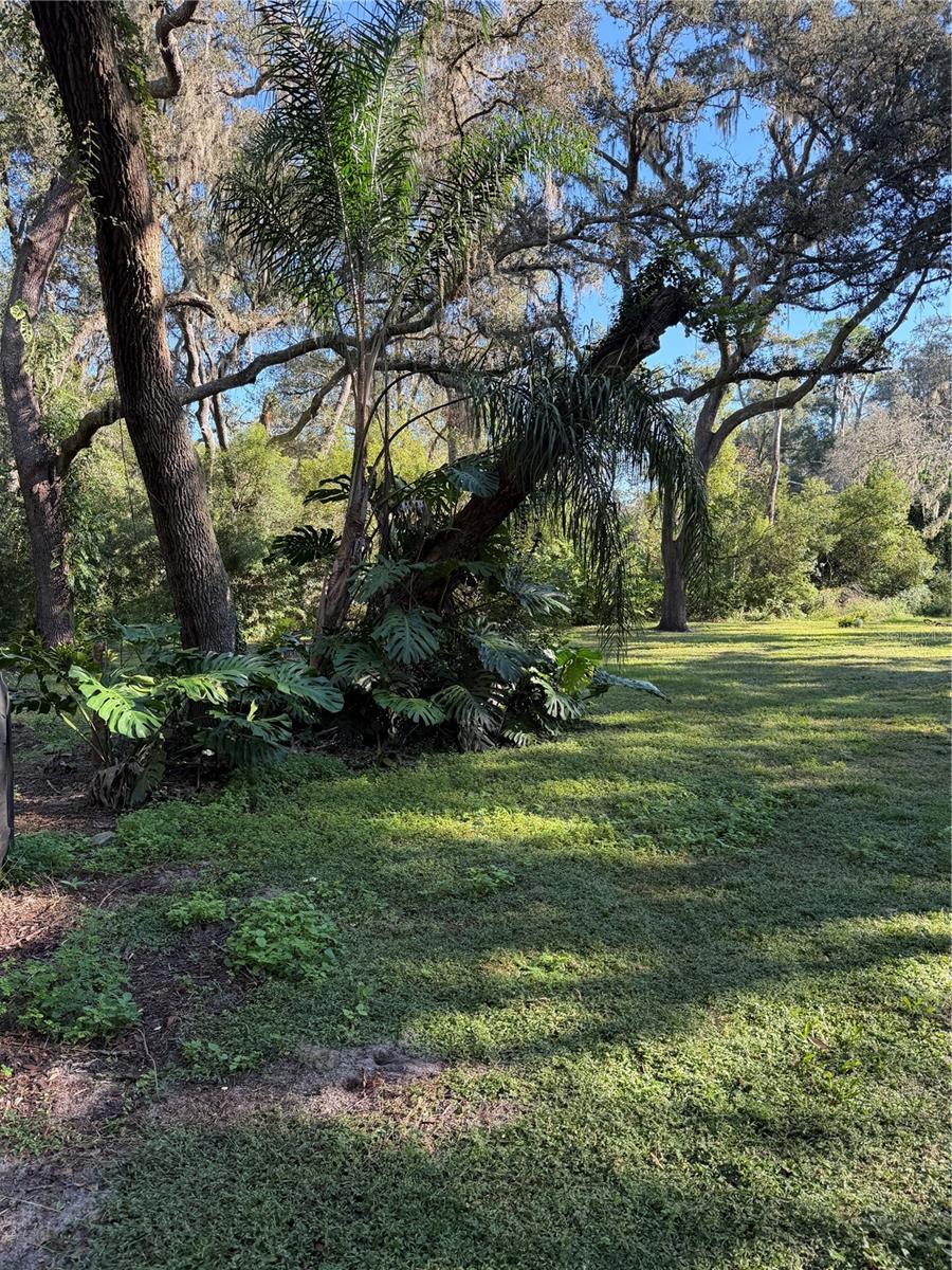 Image 17 of 19 For 18125 Mount Olive Drive