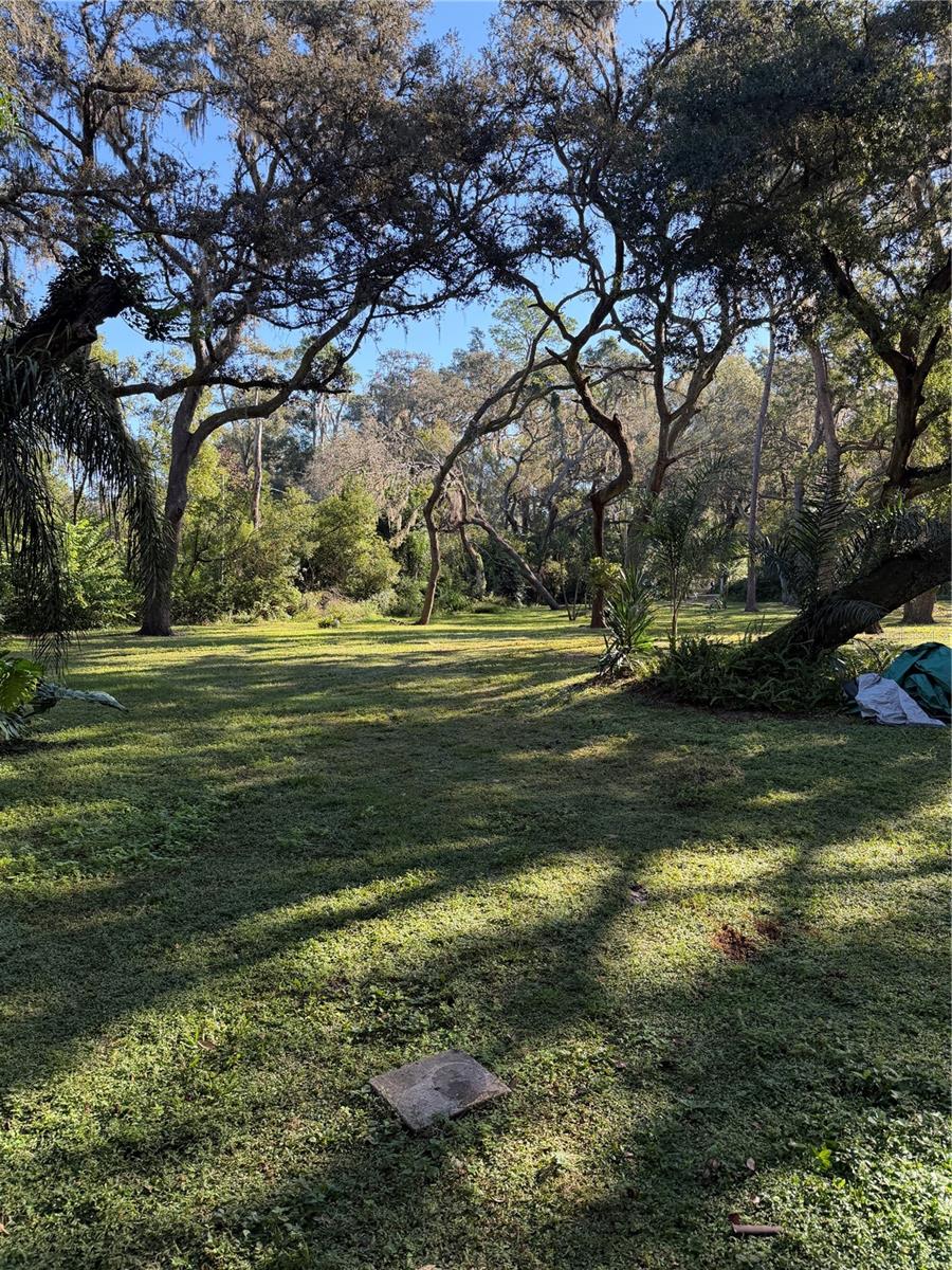 Image 18 of 19 For 18125 Mount Olive Drive