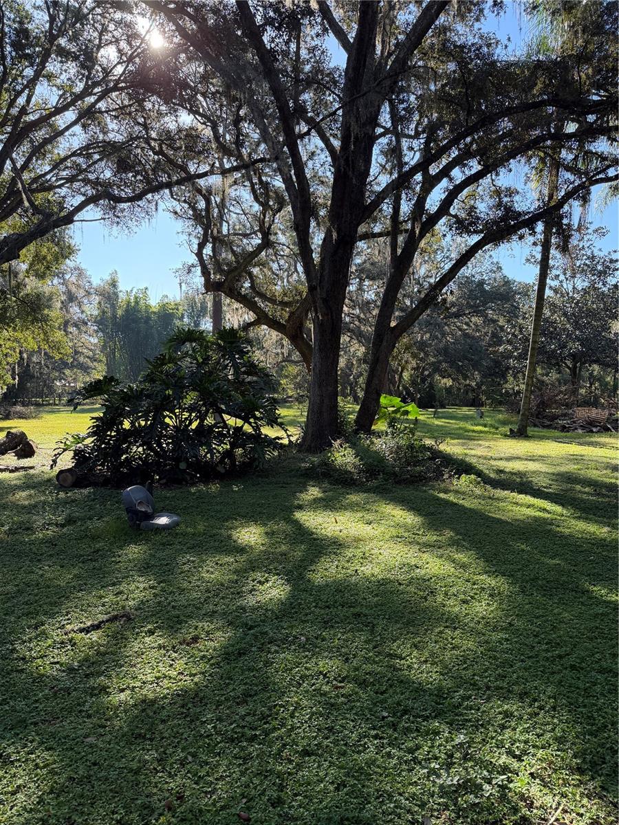 Image 19 of 19 For 18125 Mount Olive Drive