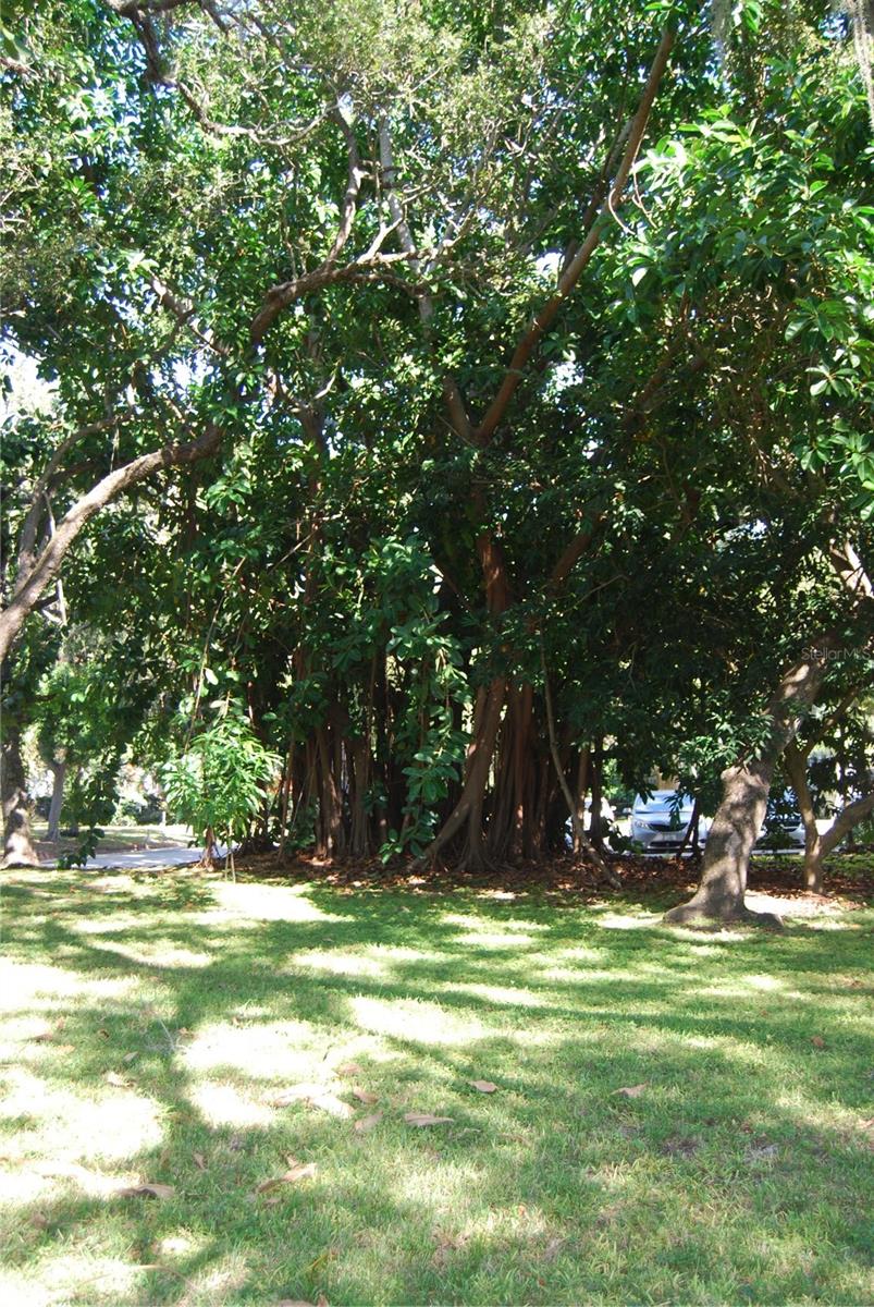 Image 55 of 57 For 2650 Pearce Drive 106