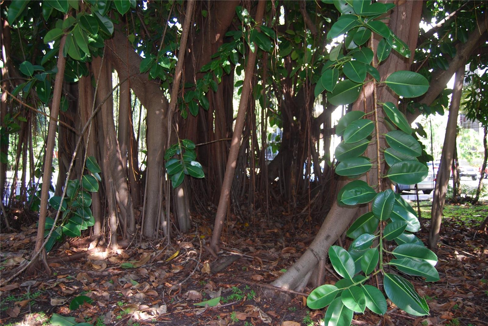 Image 56 of 57 For 2650 Pearce Drive 106