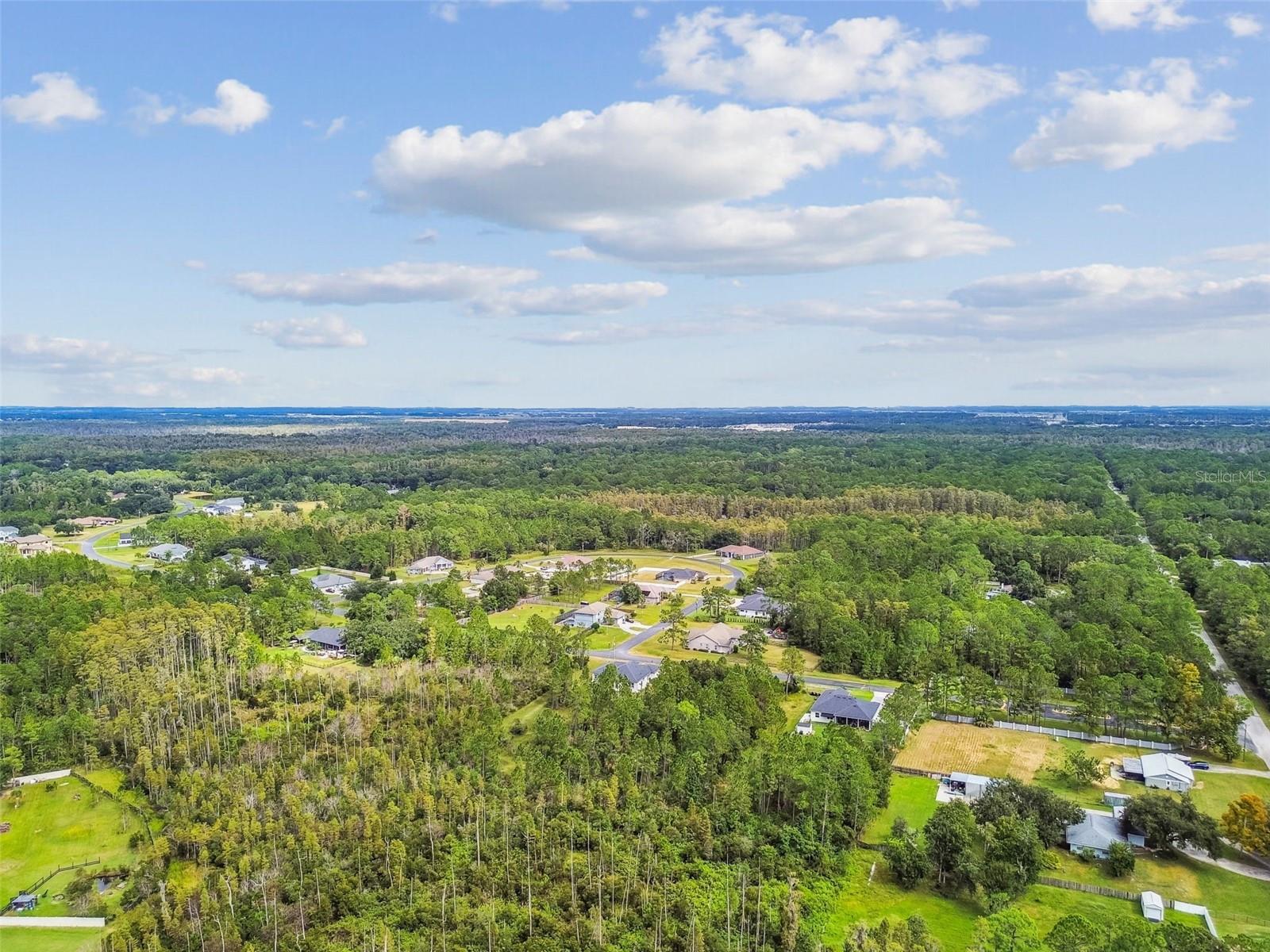 Listing photo id 11 for 8017 Woodleaf Boulevard