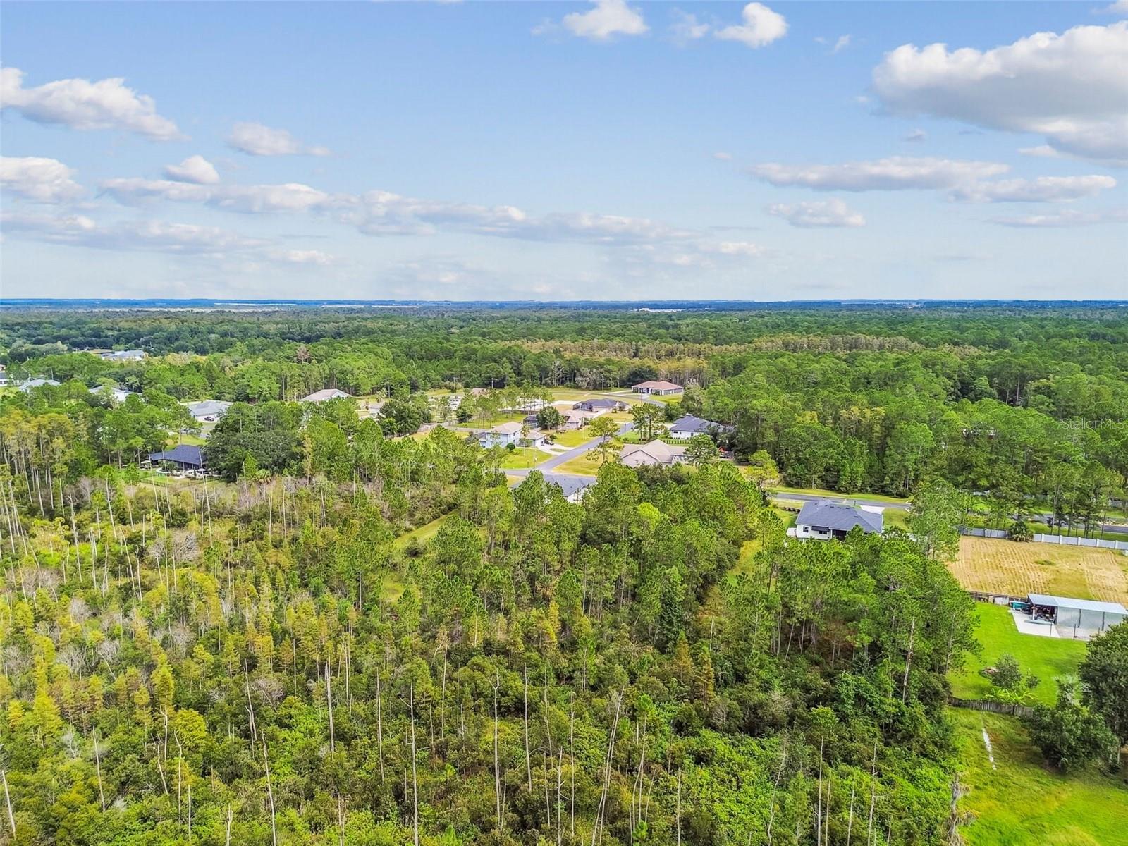 Listing photo id 12 for 8017 Woodleaf Boulevard