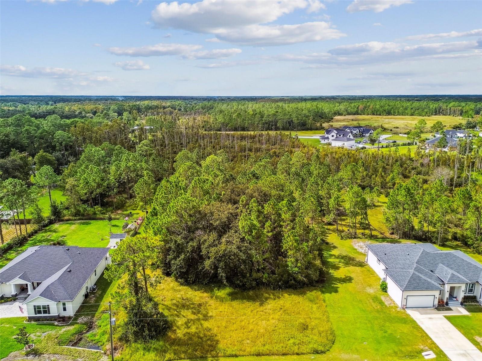 Listing photo id 2 for 8017 Woodleaf Boulevard