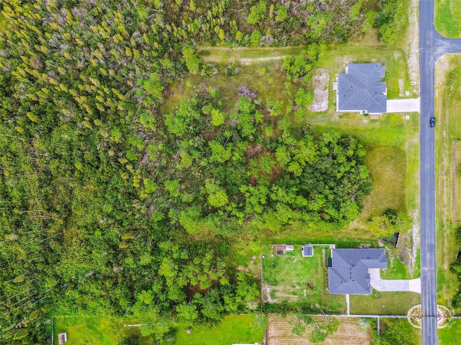 Listing photo id 6 for 8017 Woodleaf Boulevard