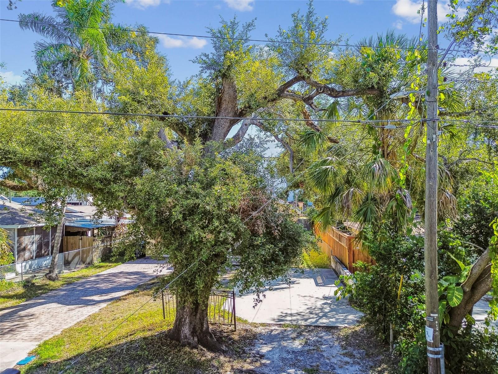 Image 53 of 72 For 7215 Duncan Avenue