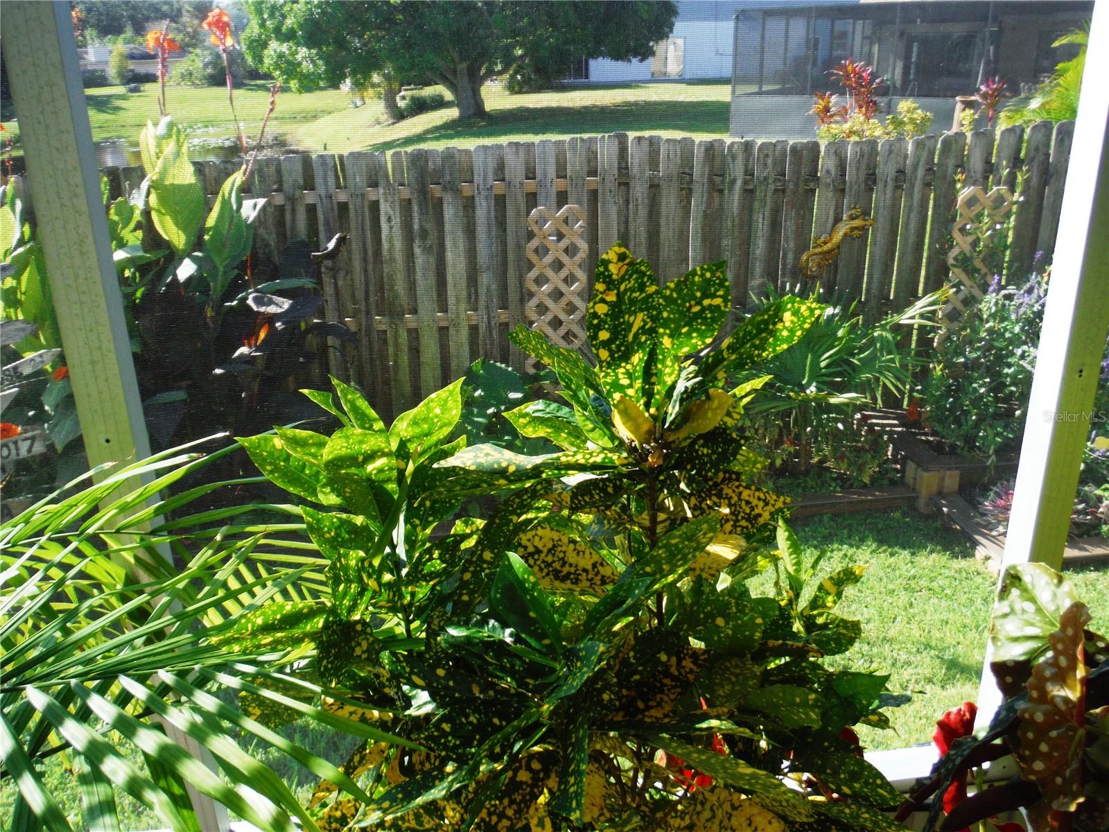 Image 21 of 55 For 168 Pinewood Terrace 104