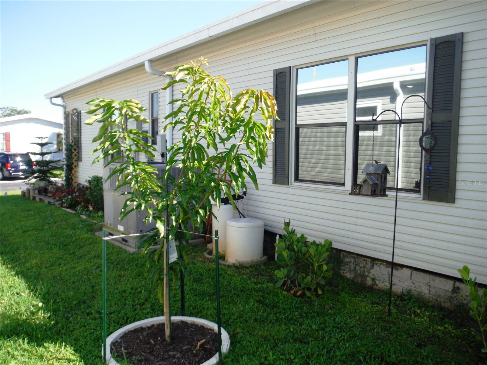 Image 41 of 55 For 168 Pinewood Terrace 104