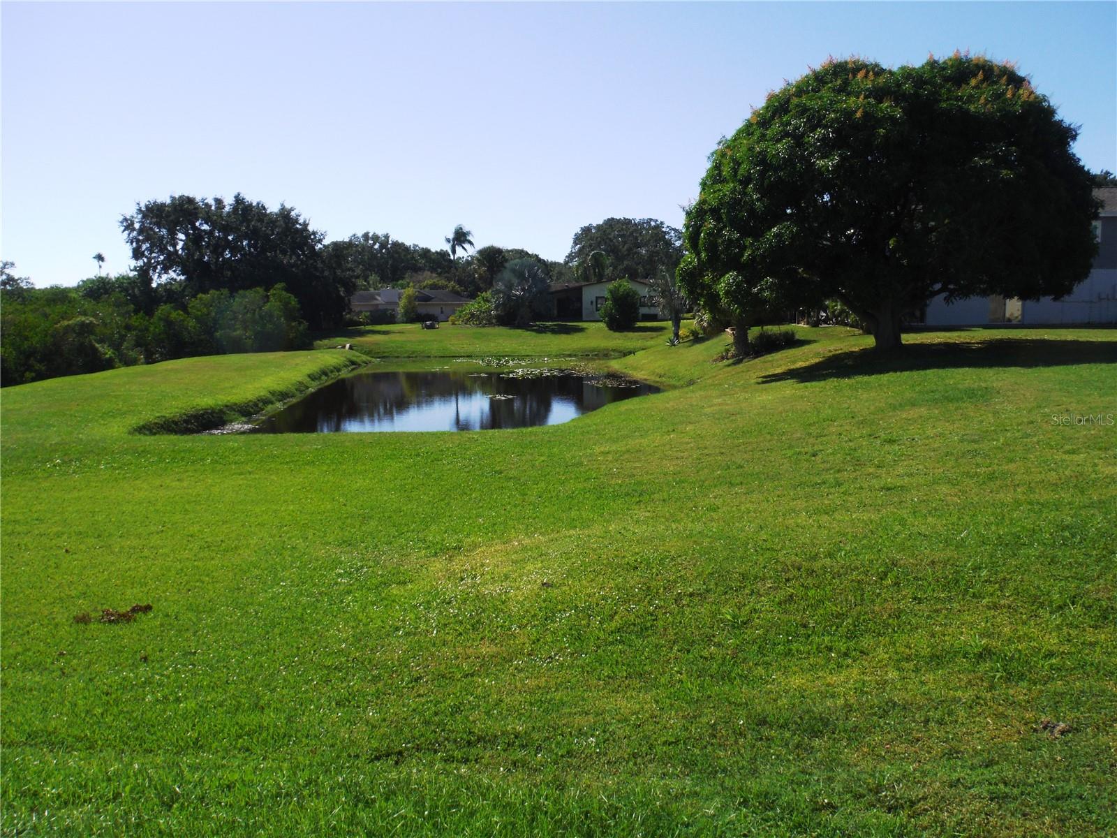 Image 46 of 55 For 168 Pinewood Terrace 104