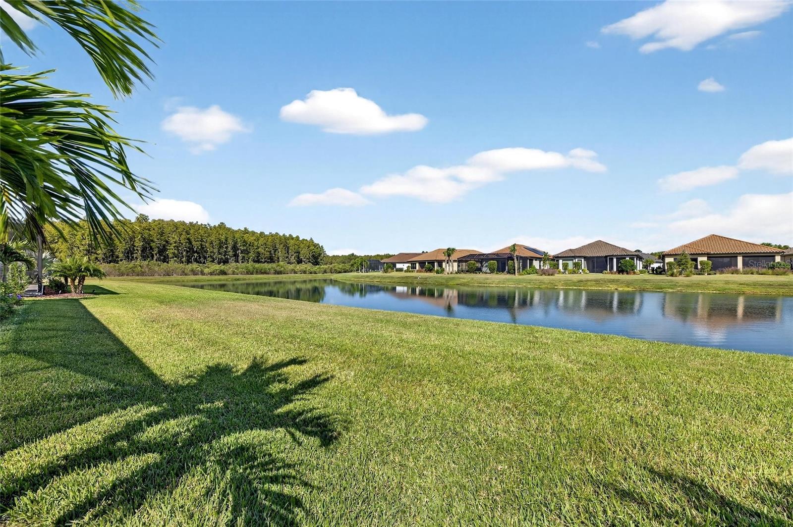 Listing photo id 2 for 11121 Egeria Drive