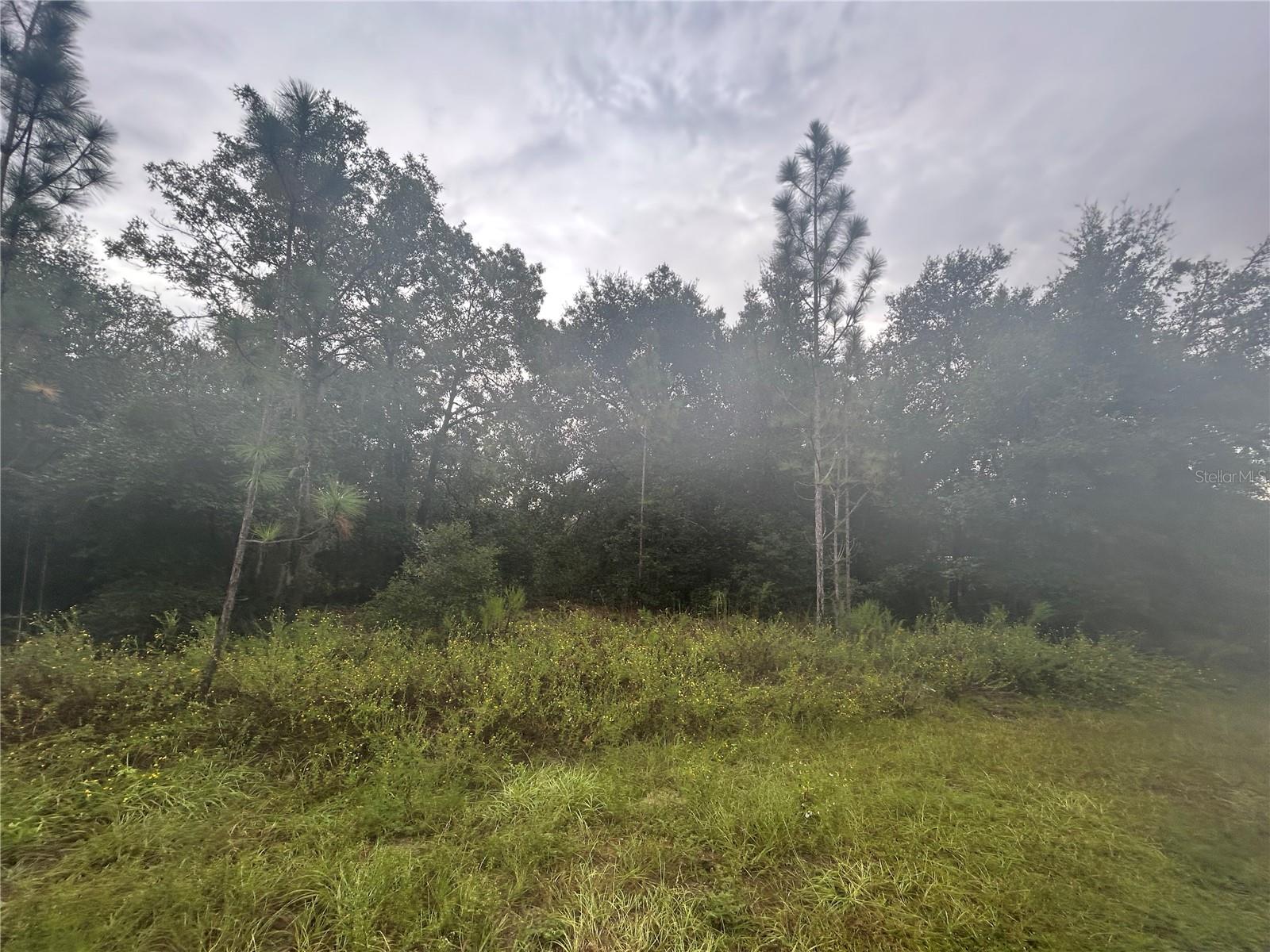 Image 6 of 8 For  140th Court 