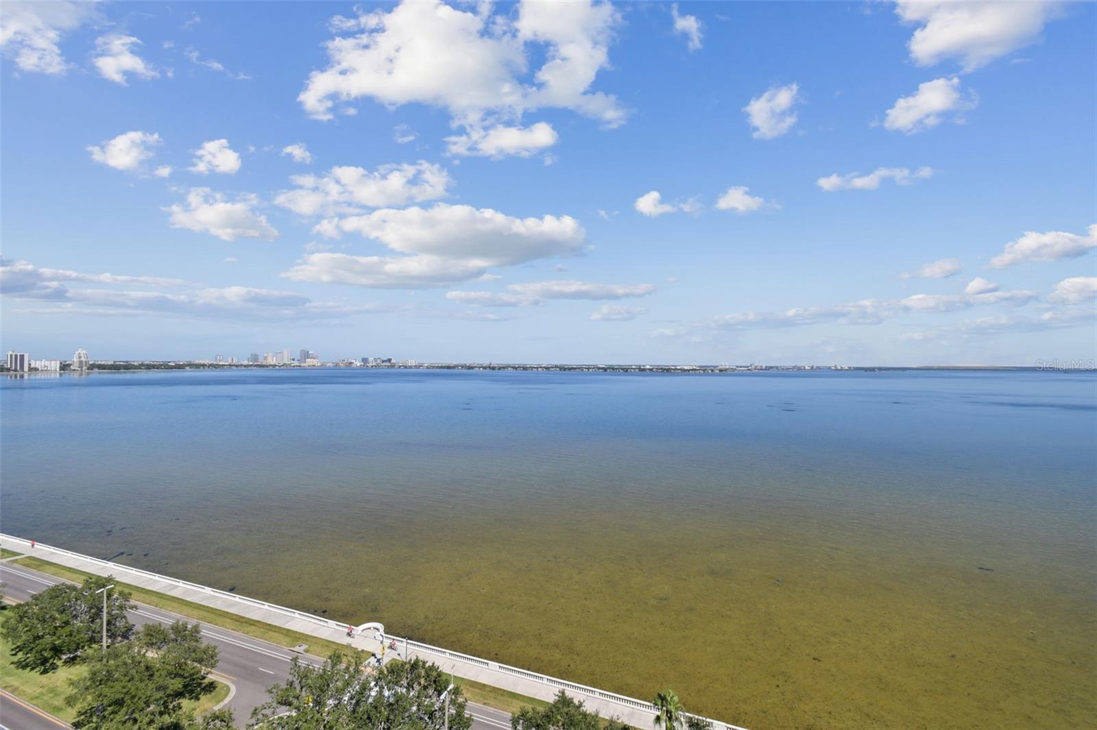 Image 23 of 95 For 4201 Bayshore Boulevard 1501