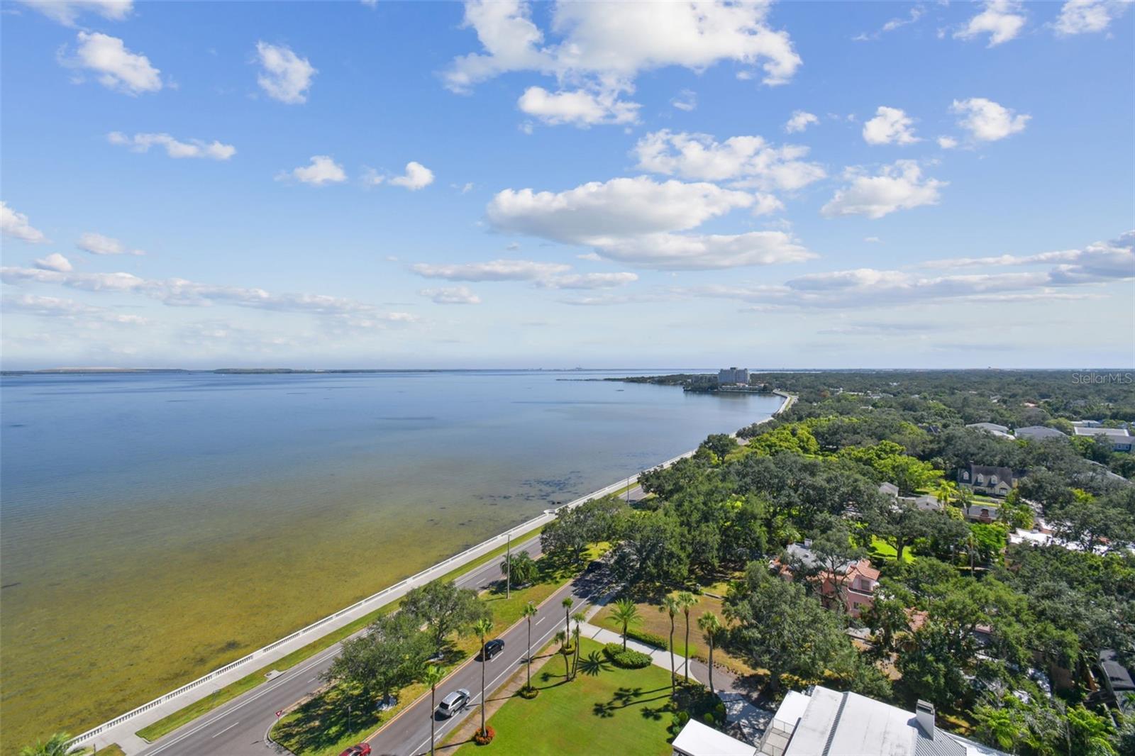 Image 40 of 95 For 4201 Bayshore Boulevard 1501