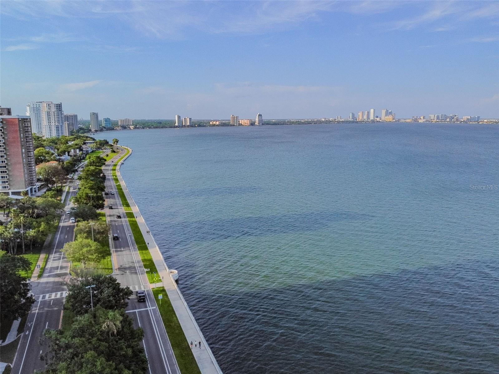 Image 69 of 95 For 4201 Bayshore Boulevard 1501