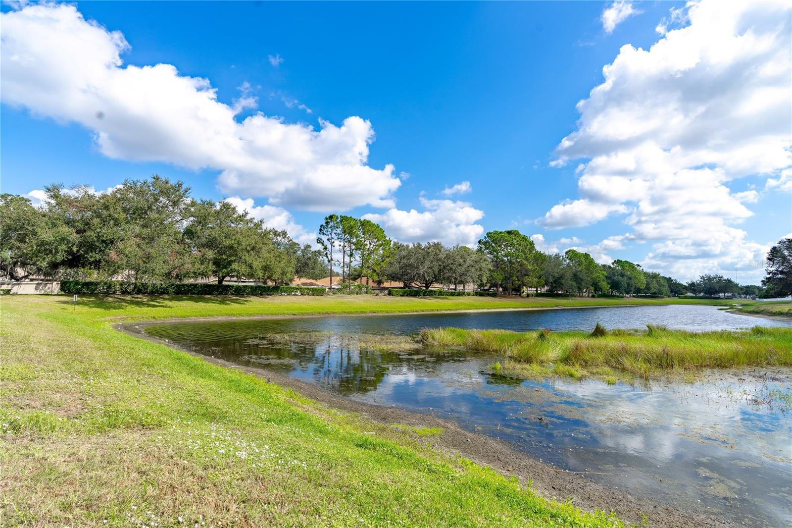 Image 47 of 48 For 10436 Hunters Haven Boulevard