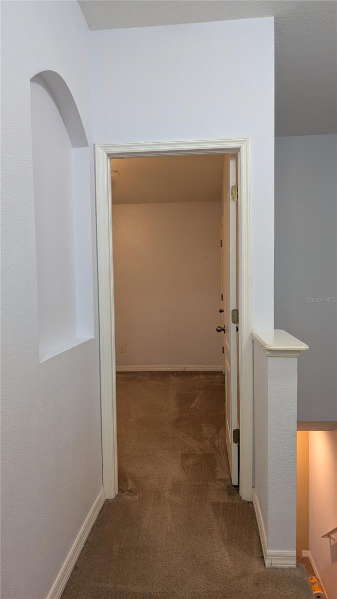 Listing photo id 23 for 16320 Swan View Circle