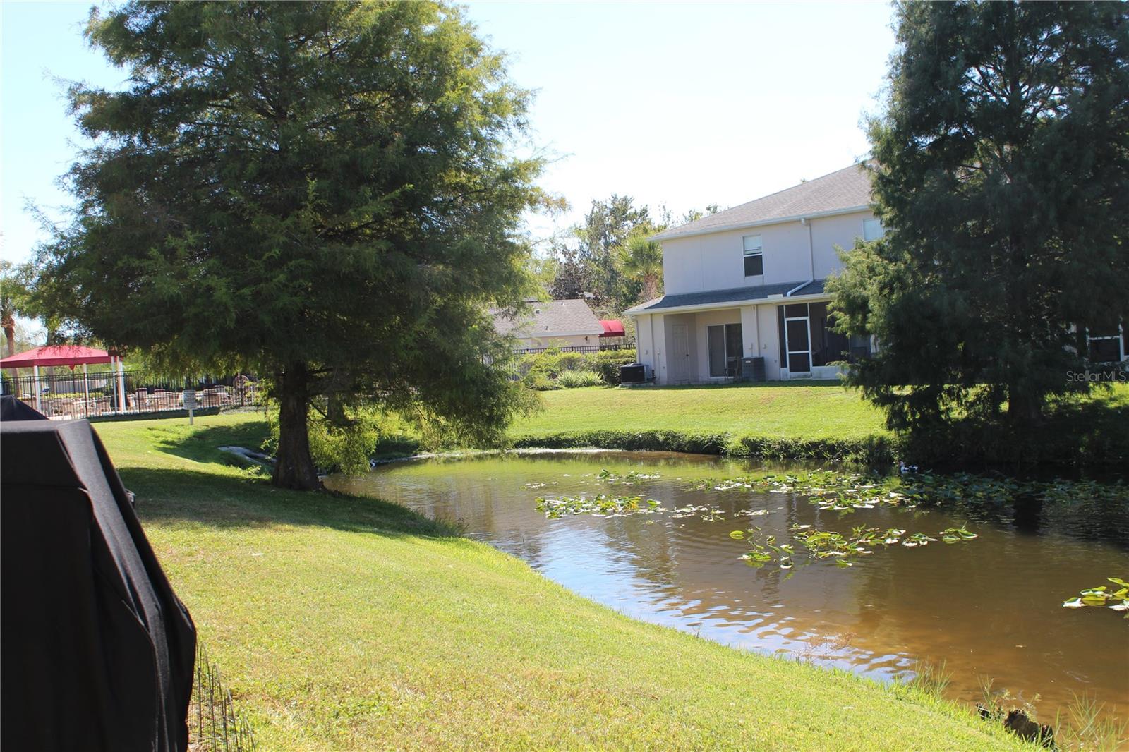 Listing photo id 33 for 16320 Swan View Circle