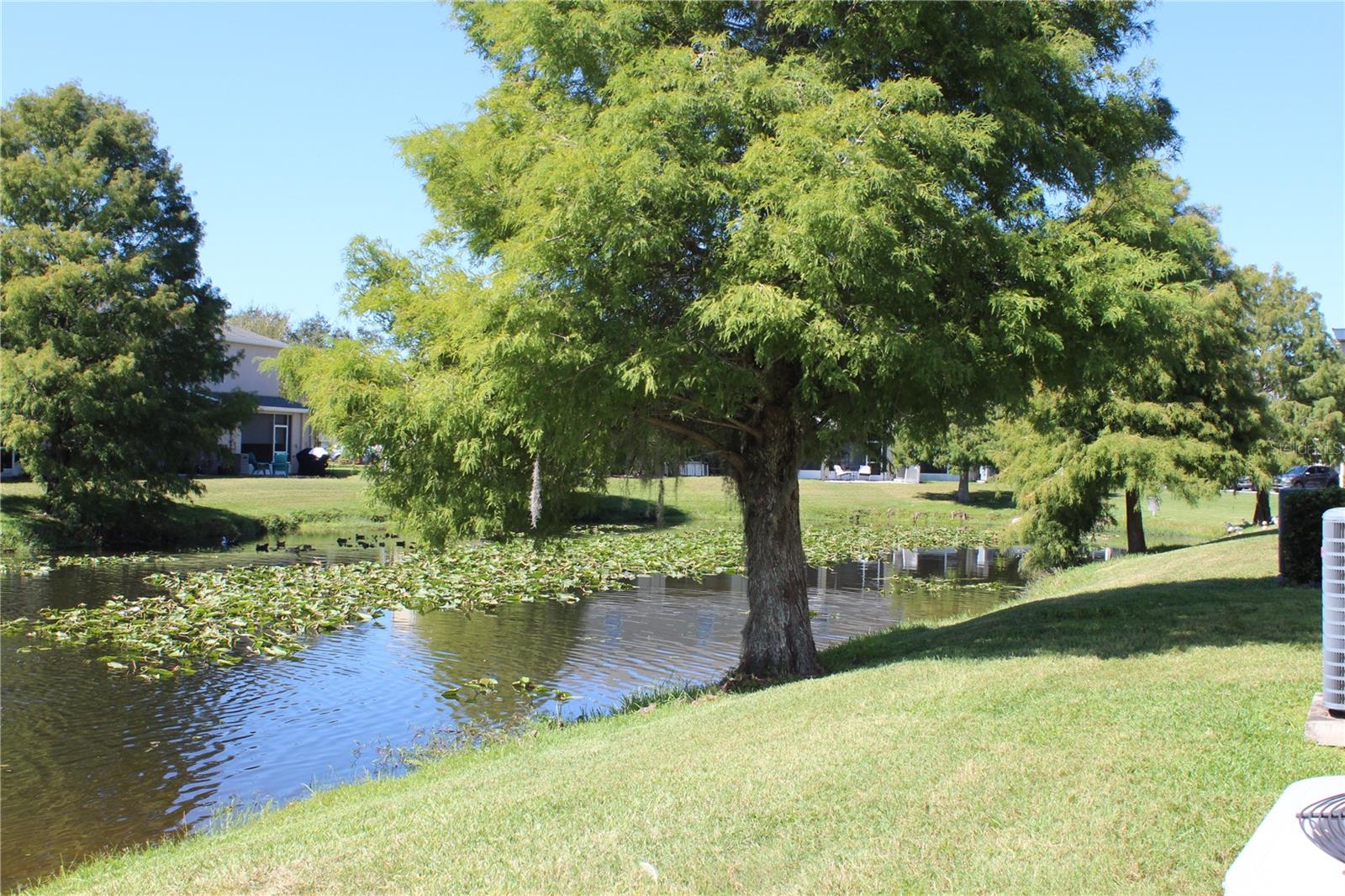 Listing photo id 34 for 16320 Swan View Circle