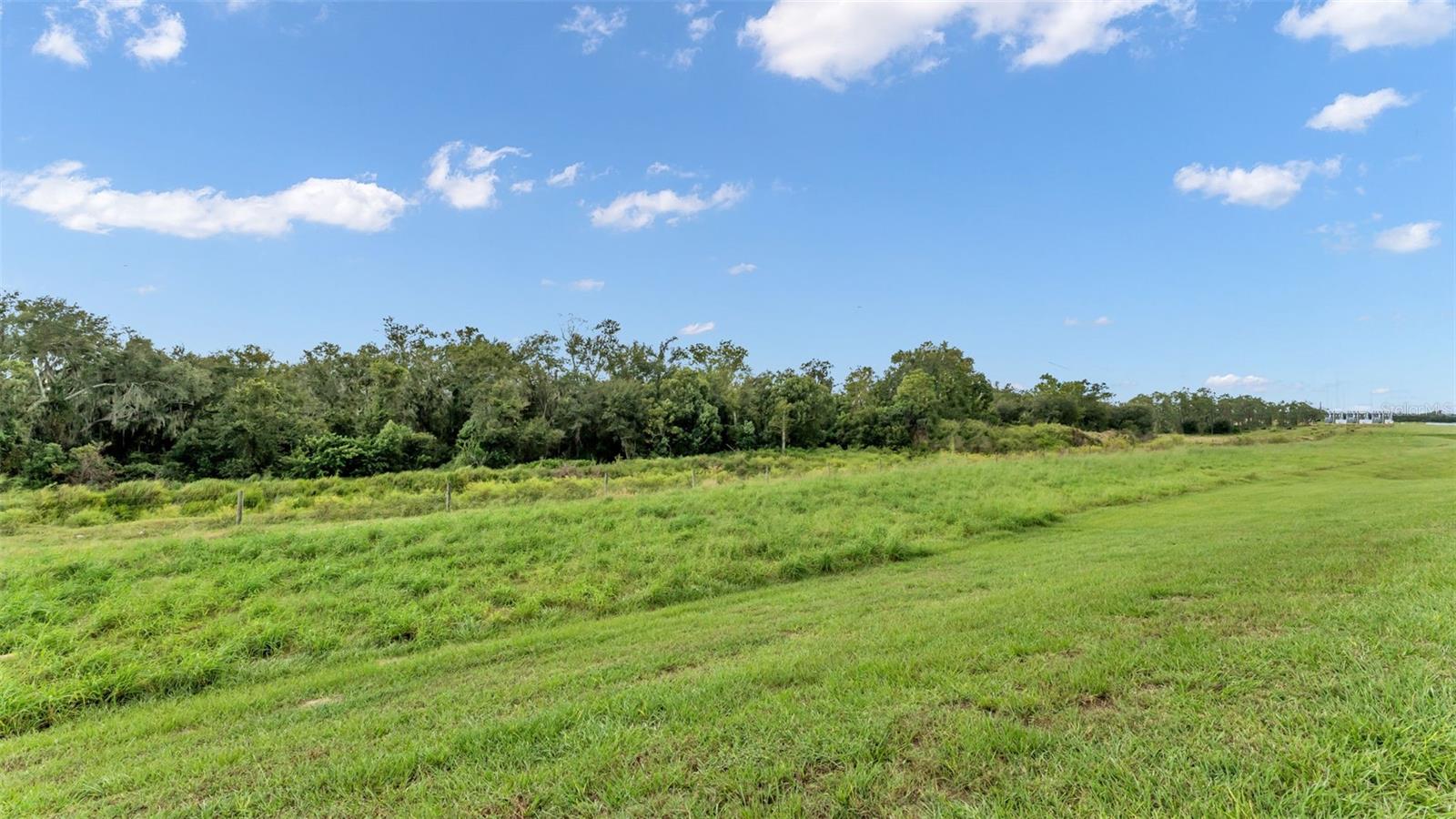 Image 50 of 63 For 3443 Lounging Wren Lane