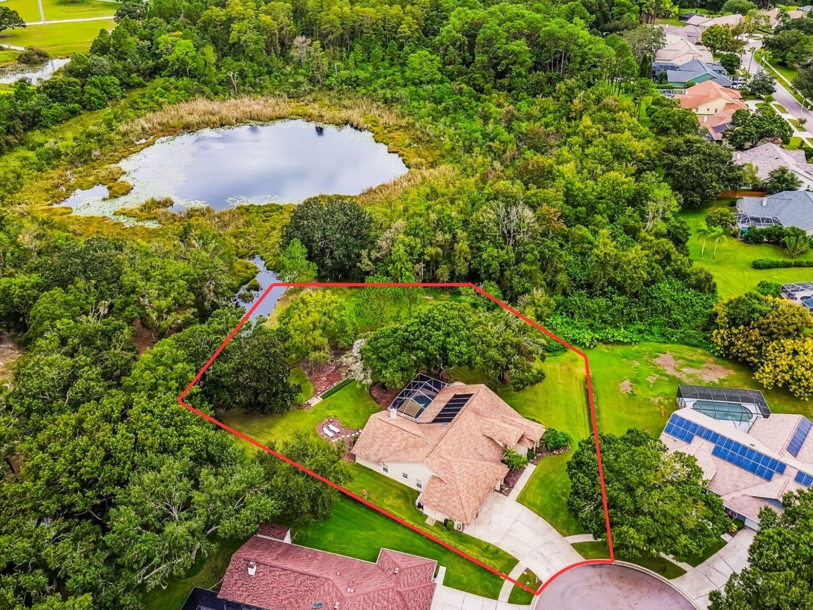 Image 4 of 61 For 16916 Filly Lane