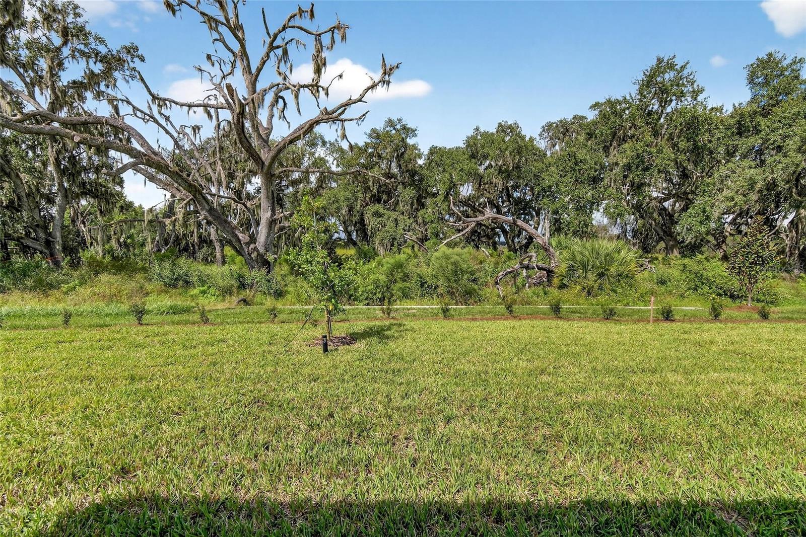 Image 45 of 78 For 4025 Westwood Fields Loop