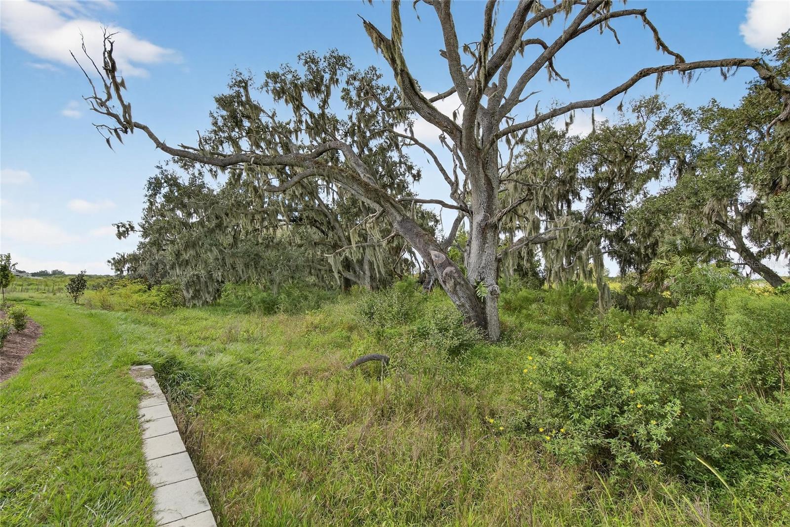 Image 55 of 78 For 4025 Westwood Fields Loop