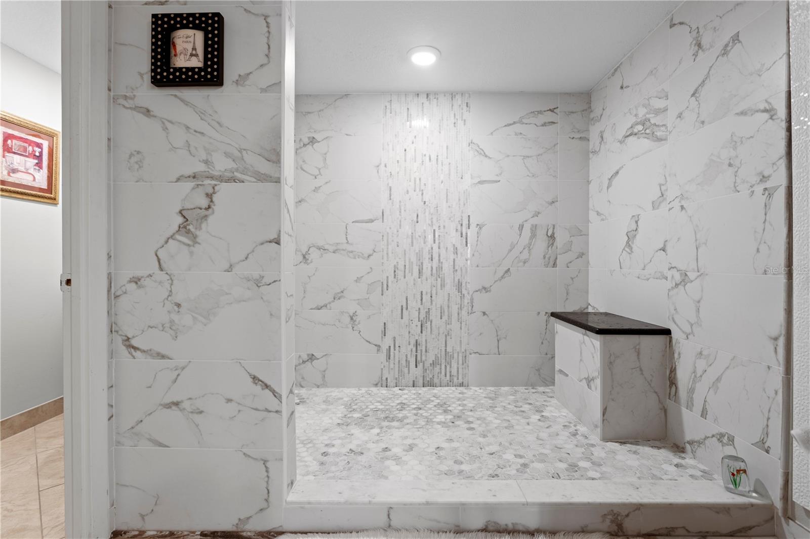 Image 35 of 62 For 3301 Bayshore Boulevard 2104d