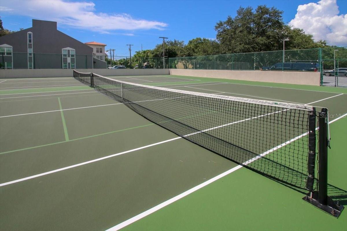 Image 57 of 62 For 3301 Bayshore Boulevard 2104d