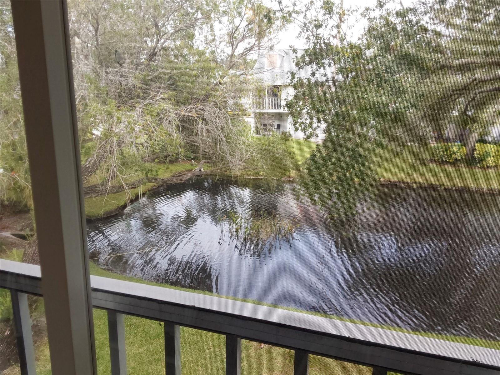 Image 32 of 34 For 153 Sun Isle Circle