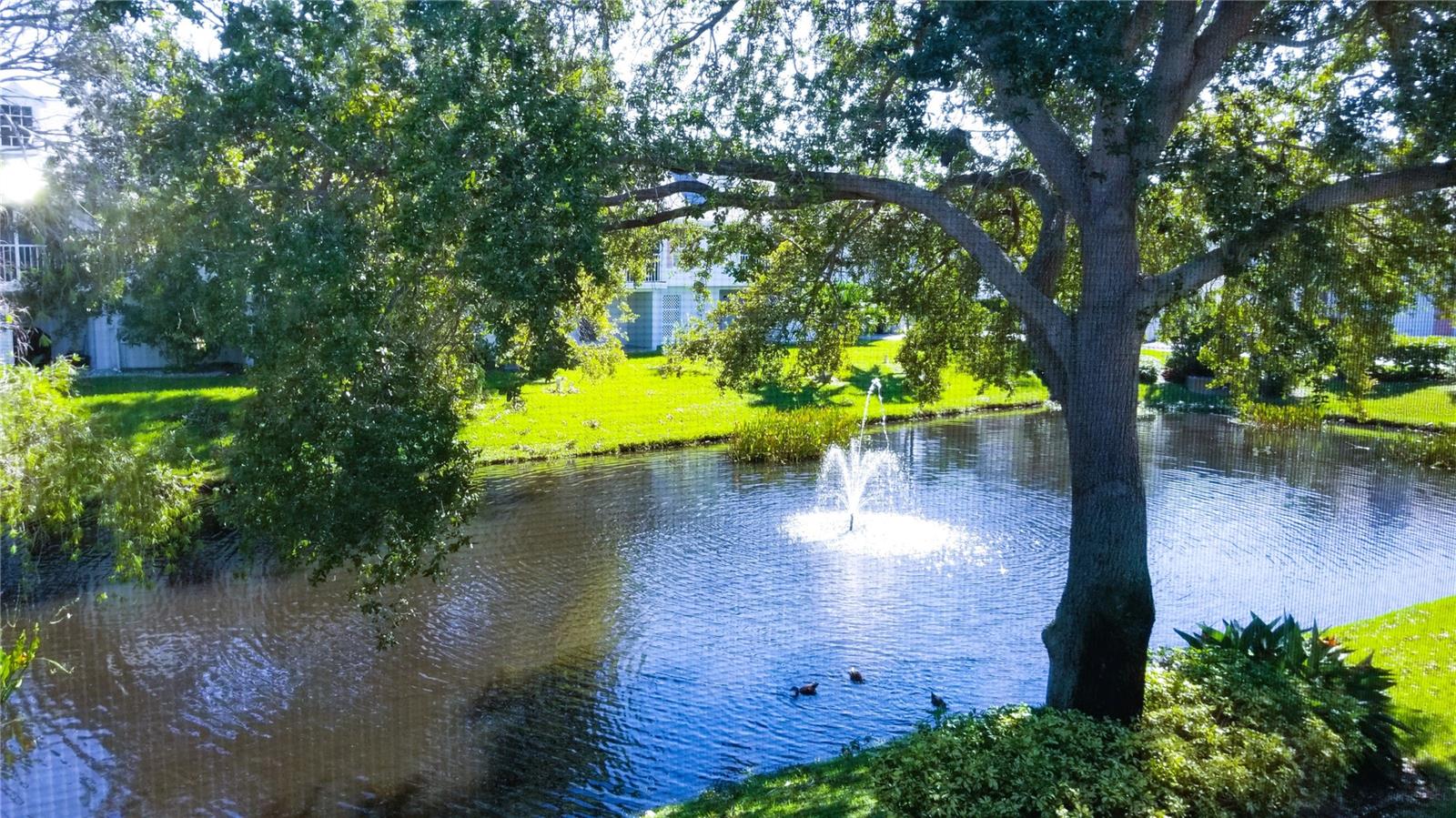 Image 33 of 34 For 153 Sun Isle Circle