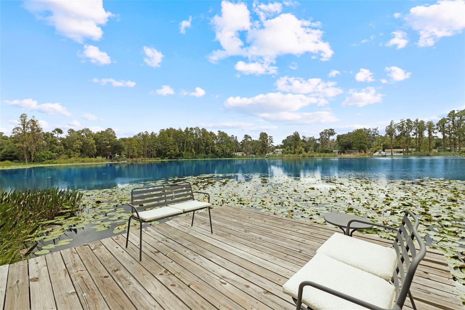 Image 43 of 64 For 21334 Lake Sharon Drive