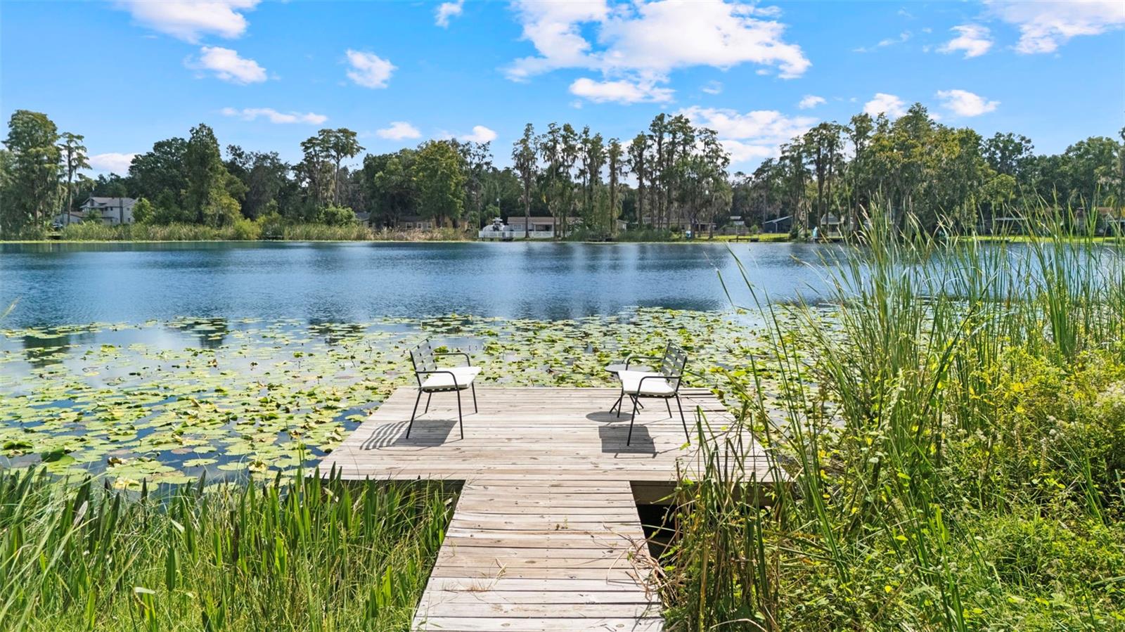 Image 56 of 64 For 21334 Lake Sharon Drive