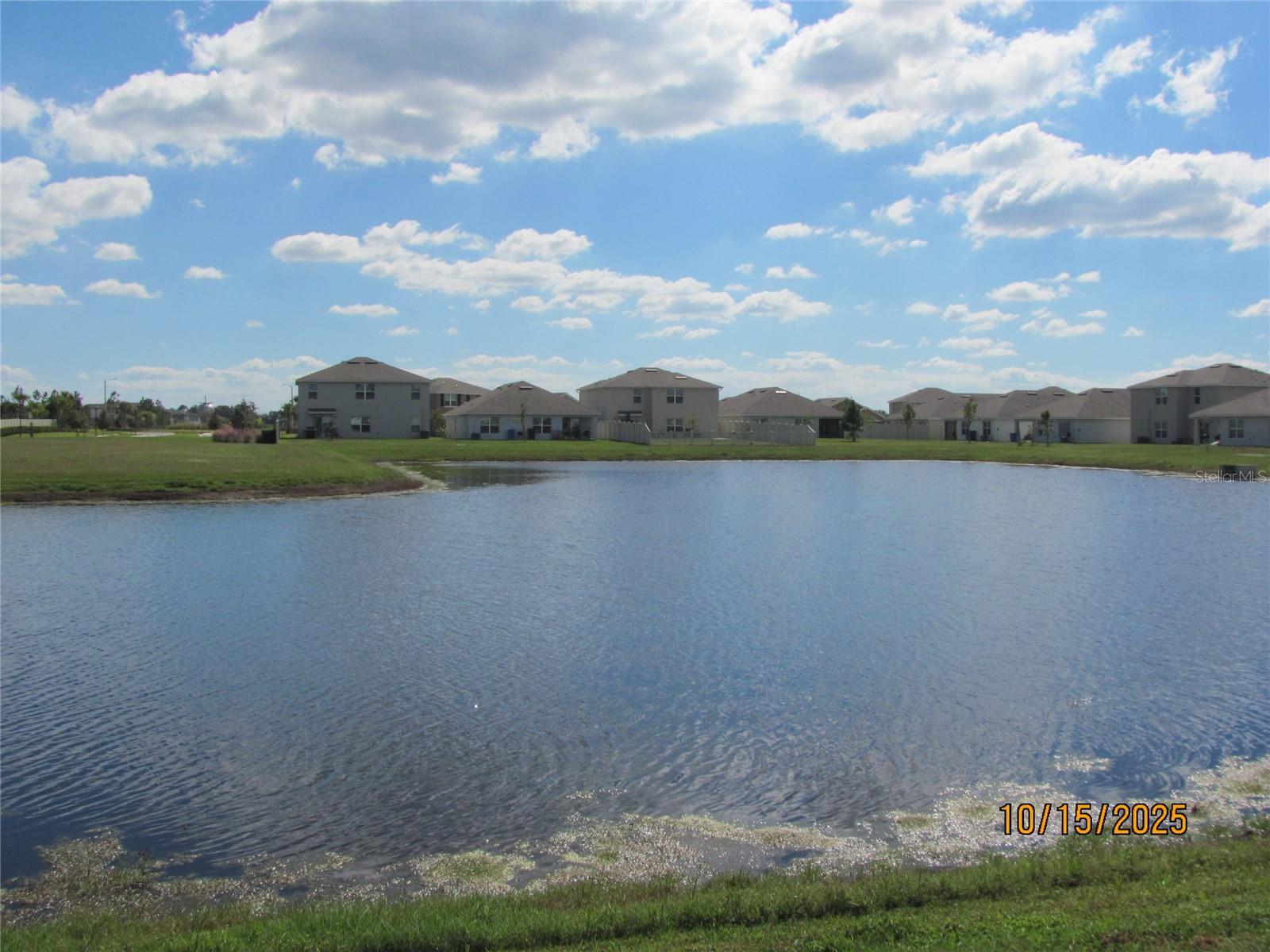 Image 35 of 46 For 5289 Fiddle Fig Avenue