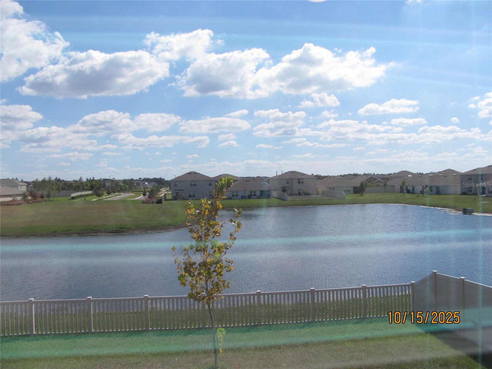 Image 39 of 46 For 5289 Fiddle Fig Avenue