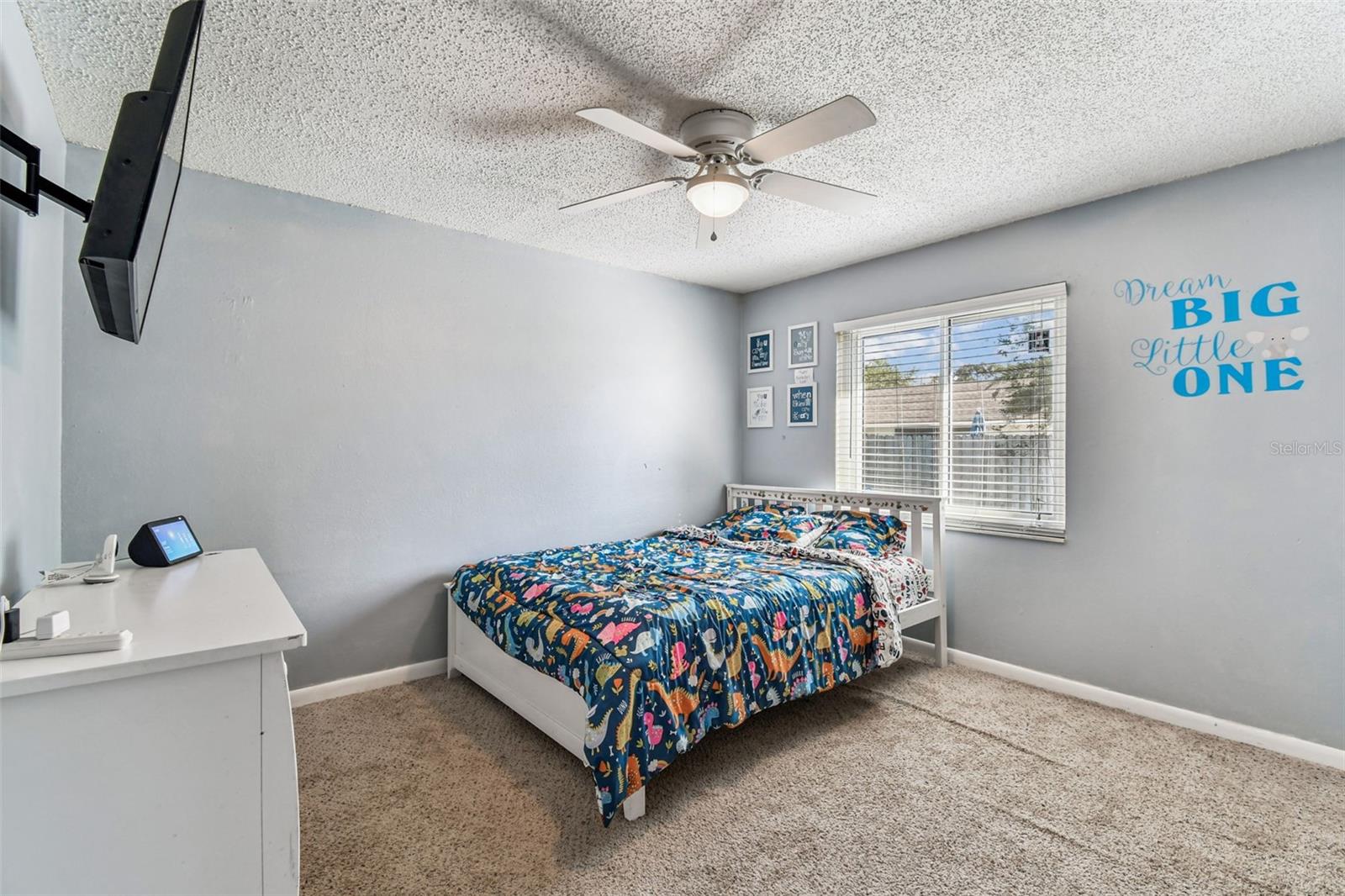 Listing photo id 25 for 9764 130th Avenue