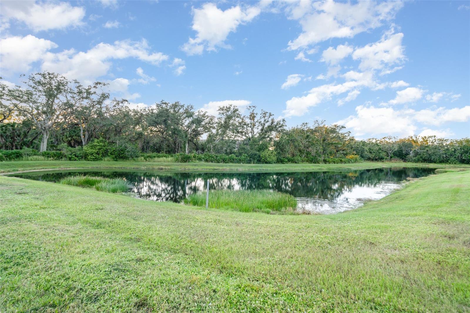 Image 36 of 43 For 5564 Coachwood Cove