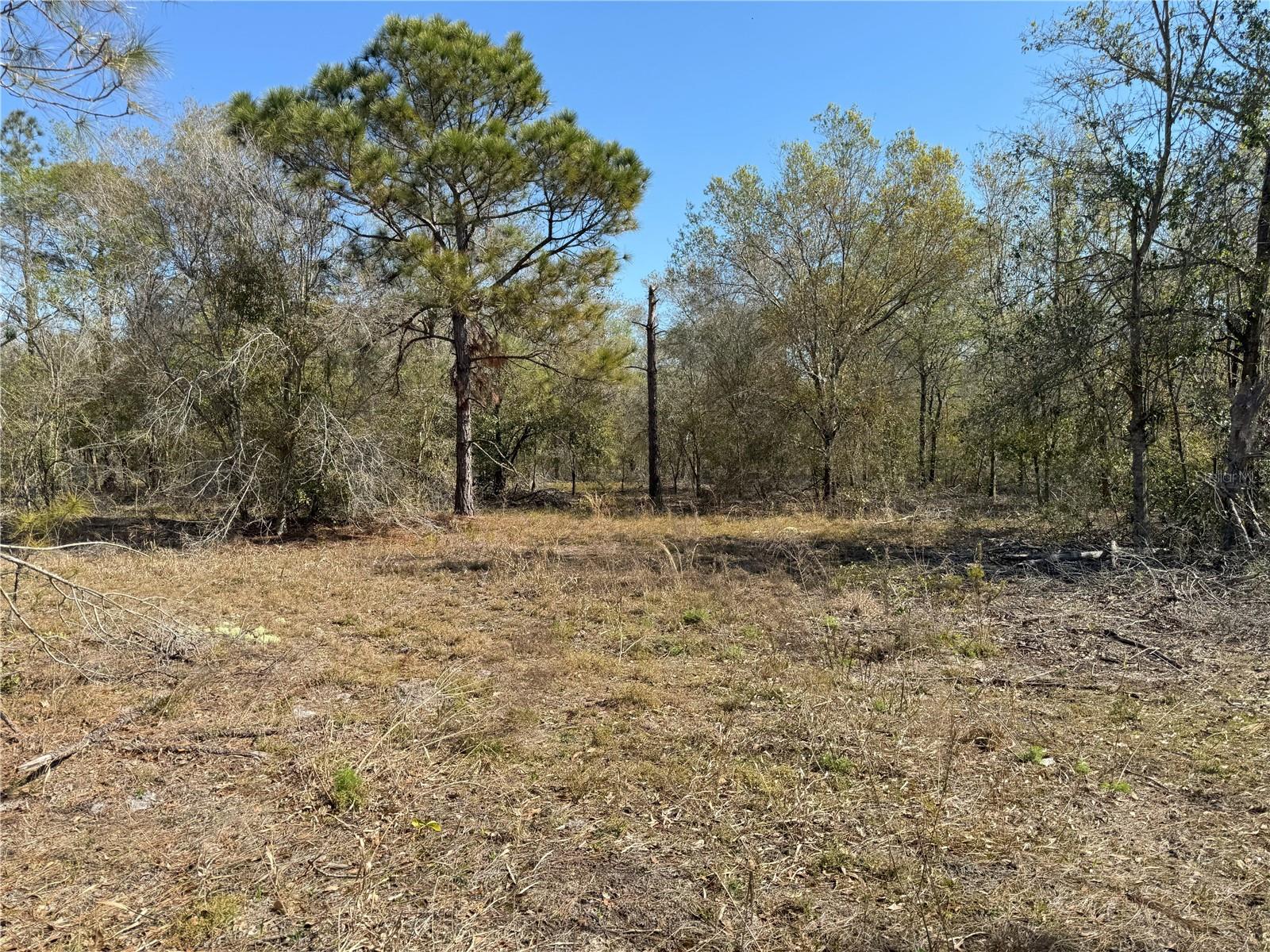 Image 11 of 21 For 0 Lake Buffum Road