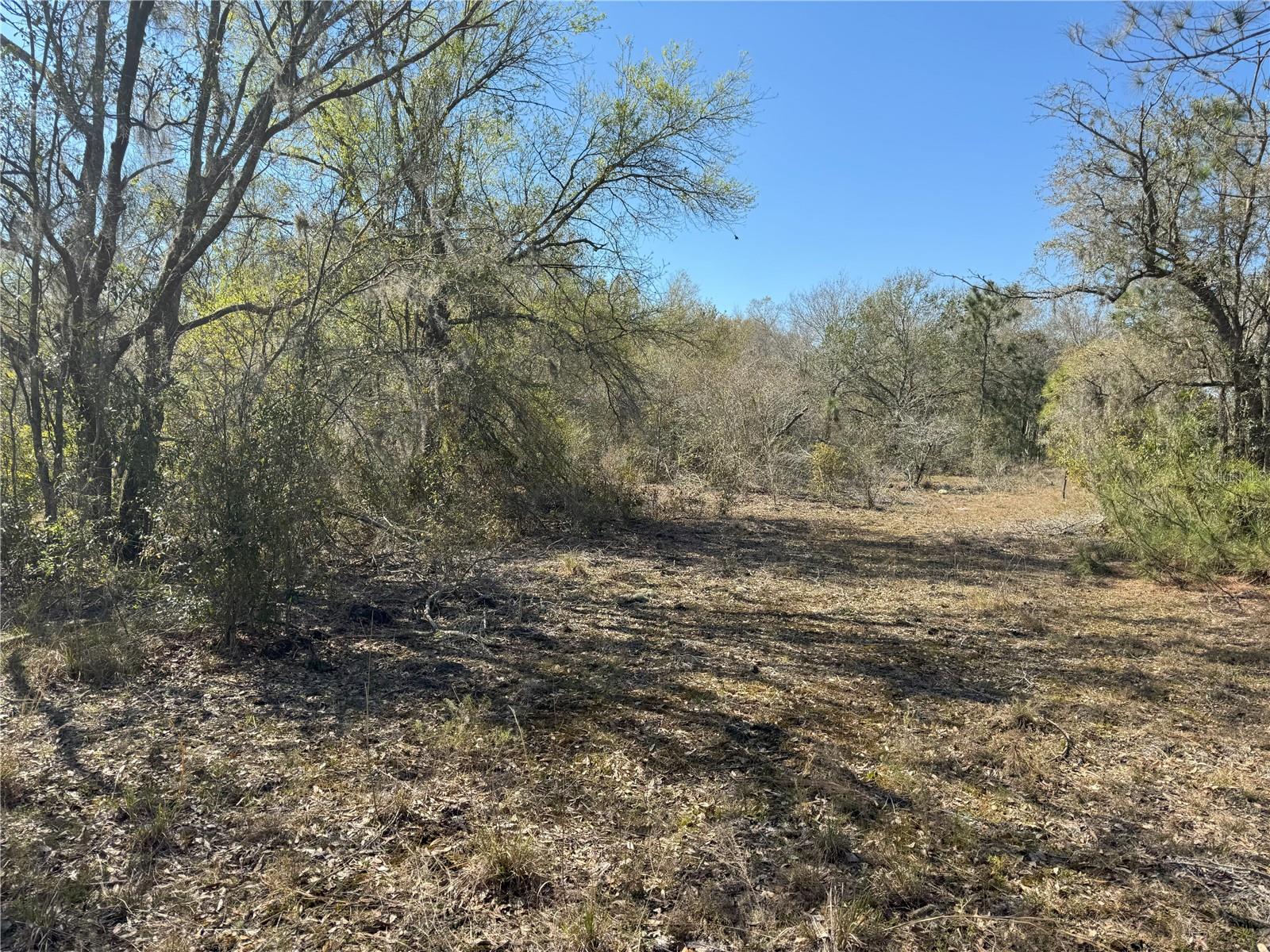 Image 14 of 21 For 0 Lake Buffum Road