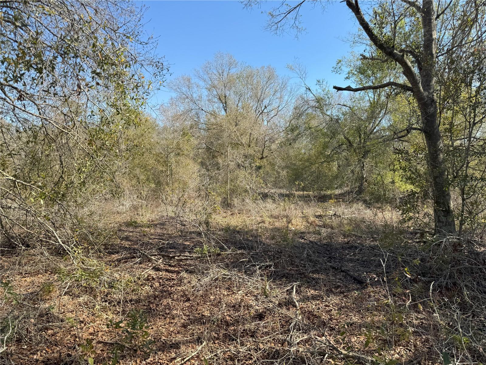Image 16 of 21 For 0 Lake Buffum Road