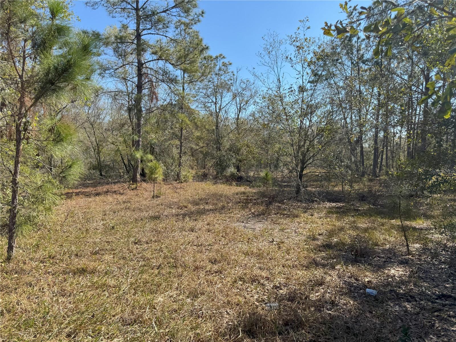Image 8 of 21 For 0 Lake Buffum Road