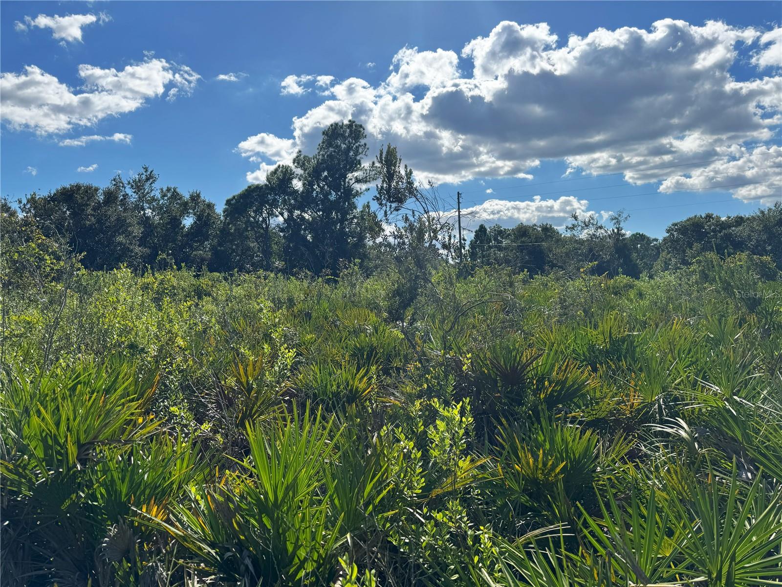Image 11 of 22 For 0 Alturas Babson Park Cut Off Road