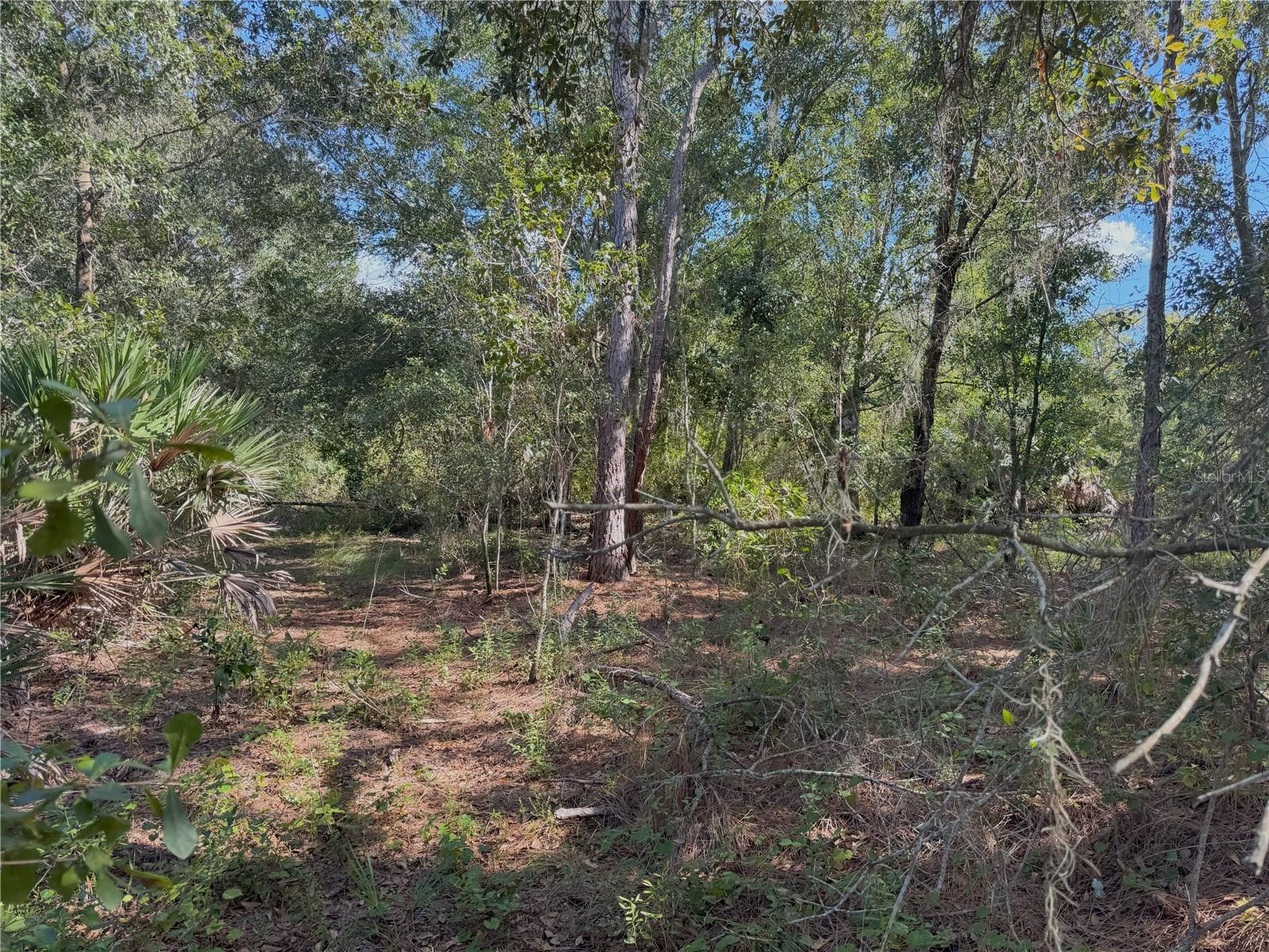 Image 13 of 22 For 0 Alturas Babson Park Cut Off Road